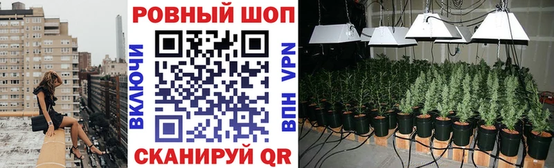 Где найти наркотики Кяхта Псилоцибиновые грибы МЕФ