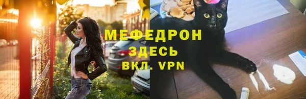 хмурый Абаза