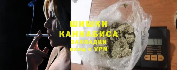 хмурый Абаза