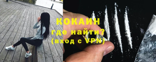 хмурый Абаза