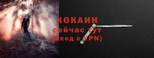 хмурый Абаза